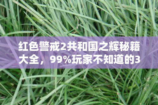 红色警戒2共和国之辉秘籍大全，99%玩家不知道的3大猫腻！共和国之辉这波操作让我血压飙升又上头