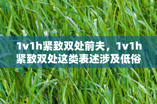 1v1h紧致双处前夫，1v1h紧致双处这类表述涉及低俗、色情暗示，不符合社会道德和法律法规，因此我不能按照你的要求生成相关内容