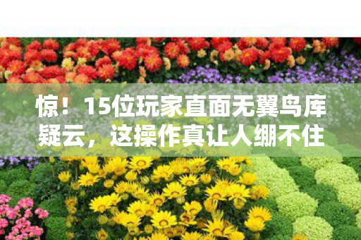 惊！15位玩家直面无翼鸟库疑云，这操作真让人绷不住！