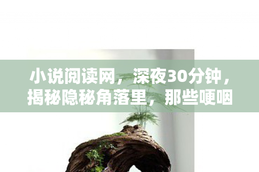 小说阅读网,深夜30分钟,揭秘隐秘角落里,那些哽咽的小说阅读时光 小说阅读网,深夜30分钟,揭秘隐秘角落里,那些哽咽的小说阅读时光