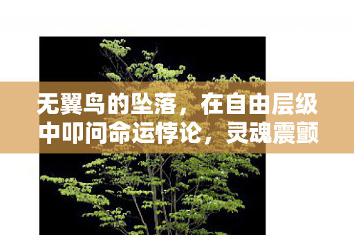 无翼鸟的坠落,在自由层级中叩问命运悖论,灵魂震颤的终极抉择 无翼鸟的坠落,在自由层级中叩问命运悖论,灵魂震颤的终极抉择