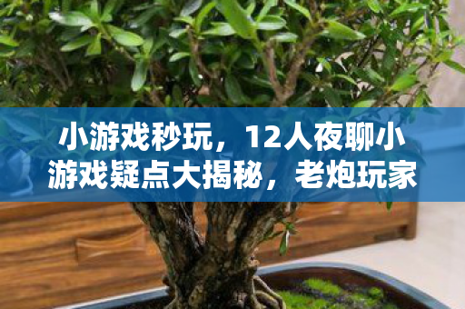 小游戏秒玩,12人夜聊小游戏疑点大揭秘,老炮玩家听完直接绷不住! 小游戏秒玩,12人夜聊小游戏疑点大揭秘,老炮玩家听完直接绷不住!