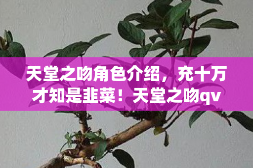 天堂之吻角色介绍，充十万才知是韭菜！天堂之吻qvod背后隐情，真让人吓一跳！
