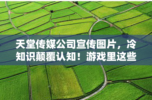 天堂传媒公司宣传图片，冷知识颠覆认知！游戏里这些设计竟藏着目瞪口呆的秘密炸弹