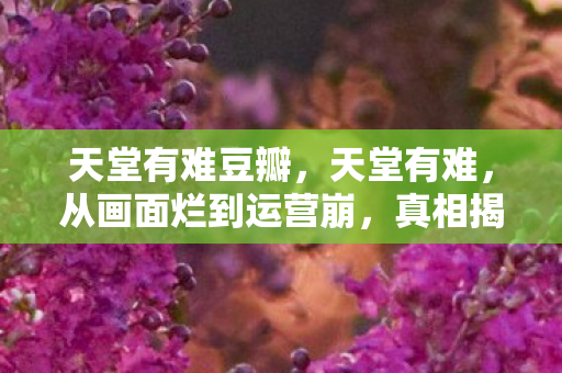 天堂有难豆瓣，天堂有难，从画面烂到运营崩，真相揭晓时笑着笑着就哭了