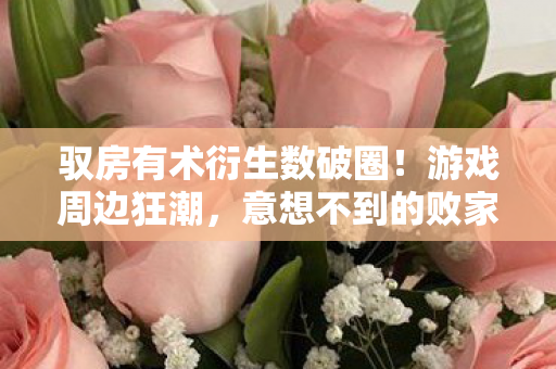 驭房有术衍生数破圈！游戏周边狂潮，意想不到的败家之旅启程！