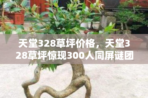 天堂328草坪价格,天堂328草坪惊现300人同屏谜团!零氪党破防,这公平吗? 天堂328草坪价格,天堂328草坪惊现300人同屏谜团!零氪党破防,这公平吗?