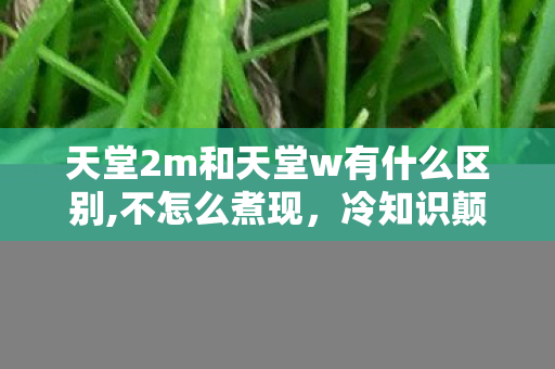 天堂2m和天堂w有什么区别,不怎么煮现，冷知识颠覆认知！天堂2M和天堂W的隐藏差异，让你目瞪口呆！