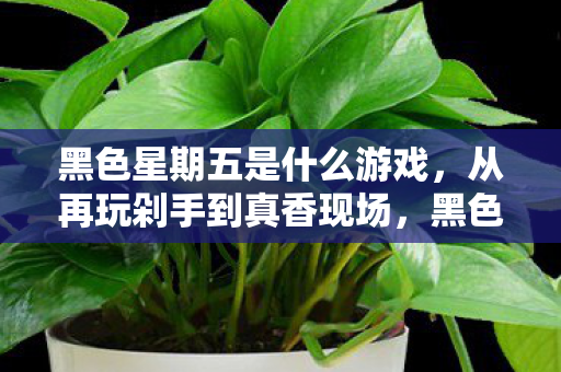 黑色星期五是什么游戏,从再玩剁手到真香现场,黑色星期五的落差真相,笑着笑着就哭了 黑色星期五是什么游戏,从再玩剁手到真香现场,黑色星期五的落差真相,笑着笑着就哭了