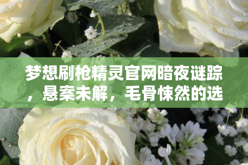 梦想刷枪精灵官网暗夜谜踪，悬案未解，毛骨悚然的选择陷阱
