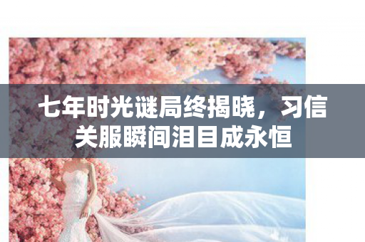 七年时光谜局终揭晓，习信关服瞬间泪目成永恒
