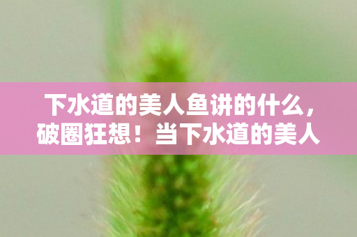 下水道的美人鱼讲的什么,破圈狂想!当下水道的美人鱼衍生数破万,我竟用房租换来这意想不到的收藏! 下水道的美人鱼讲的什么,破圈狂想!当下水道的美人鱼衍生数破万,我竟用房租换来这意想不到的收藏!