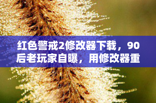 红色警戒2修改器下载,90后老玩家自曝,用修改器重温红警2,背后竟藏着十年心酸泪? 红色警戒2修改器下载,90后老玩家自曝,用修改器重温红警2,背后竟藏着十年心酸泪?