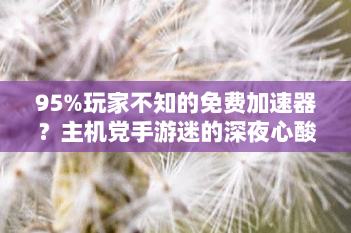 95%玩家不知的免费加速器?主机党手游迷的深夜心酸谁能懂! 95%玩家不知的免费加速器?主机党手游迷的深夜心酸谁能懂!