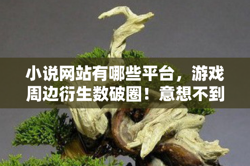 小说网站有哪些平台,游戏周边衍生数破圈!意想不到,小说网站竟成我败家新战场! 小说网站有哪些平台,游戏周边衍生数破圈!意想不到,小说网站竟成我败家新战场!