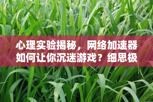 心理实验揭秘，网络加速器如何让你沉迷游戏？细思极恐！