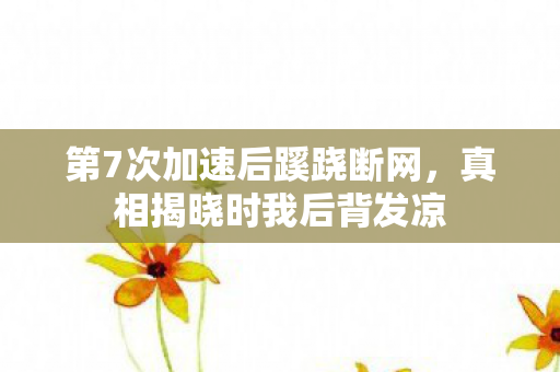 第7次加速后蹊跷断网，真相揭晓时我后背发凉