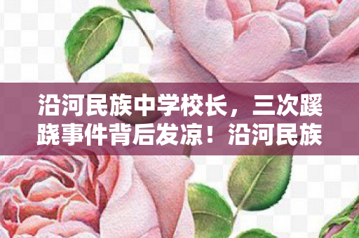 沿河民族中学校长,三次蹊跷事件背后发凉!沿河民族中学竟成游戏策划的试验场? 沿河民族中学校长,三次蹊跷事件背后发凉!沿河民族中学竟成游戏策划的试验场?