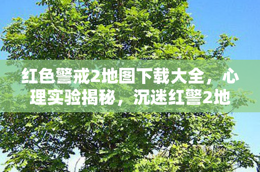 红色警戒2地图下载大全,心理实验揭秘,沉迷红警2地图下载,细思极恐的自我囚禁 红色警戒2地图下载大全,心理实验揭秘,沉迷红警2地图下载,细思极恐的自我囚禁
