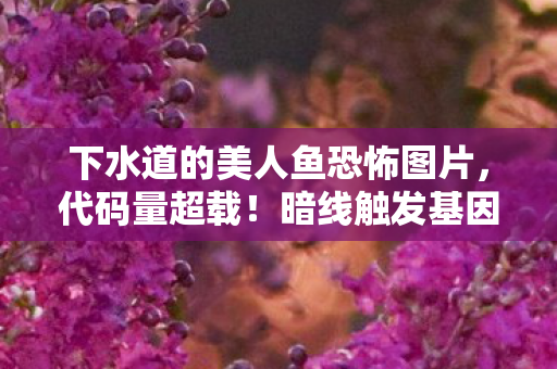 下水道的美人鱼恐怖图片,代码量超载!暗线触发基因污染警报,你的神经末梢正在头皮发麻 下水道的美人鱼恐怖图片,代码量超载!暗线触发基因污染警报,你的神经末梢正在头皮发麻