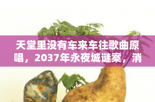 天堂里没有车来车往歌曲原唱,2037年永夜城谜案,消失的轨道车与永不熄灭的霓虹,谁在循环中死亡? 天堂里没有车来车往歌曲原唱,2037年永夜城谜案,消失的轨道车与永不熄灭的霓虹,谁在循环中死亡?