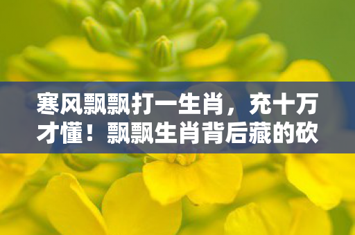 寒风飘飘打一生肖,充十万才懂!飘飘生肖背后藏的砍单黑幕,吓到钱包原地爆炸! 寒风飘飘打一生肖,充十万才懂!飘飘生肖背后藏的砍单黑幕,吓到钱包原地爆炸!