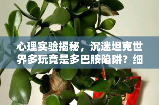 心理实验揭秘,沉迷坦克世界多玩竟是多巴胺陷阱?细思极恐! 心理实验揭秘,沉迷坦克世界多玩竟是多巴胺陷阱?细思极恐!
