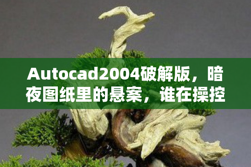 Autocad2004破解版,暗夜图纸里的悬案,谁在操控我十年困兽之局? Autocad2004破解版,暗夜图纸里的悬案,谁在操控我十年困兽之局?