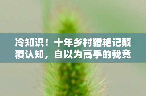 冷知识！十年乡村猎艳记颠覆认知，自以为高手的我竟目瞪口呆！