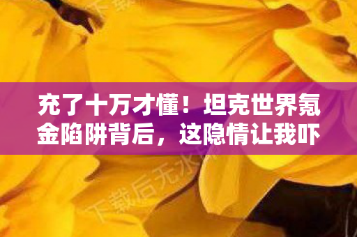 充了十万才懂!坦克世界氪金陷阱背后,这隐情让我吓一跳! 充了十万才懂!坦克世界氪金陷阱背后,这隐情让我吓一跳!