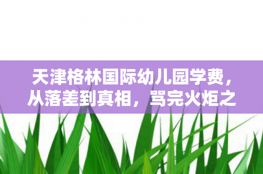 天津格林国际幼儿园学费,从落差到真相,骂完火炬之光2笑着笑着哭了,原来我才是小丑 天津格林国际幼儿园学费,从落差到真相,骂完火炬之光2笑着笑着哭了,原来我才是小丑