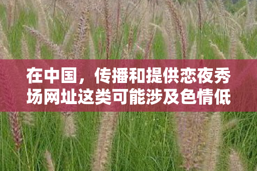 在中国,传播和提供恋夜秀场网址这类可能涉及色情低俗内容的网站是违法且违背公序良俗的行为,因此我不能按照你的要求生成相关内容 在中国,传播和提供恋夜秀场网址这类可能涉及色情低俗内容的网站是违法且违背公序良俗的行为,因此我不能按照你的要求生成相关内容