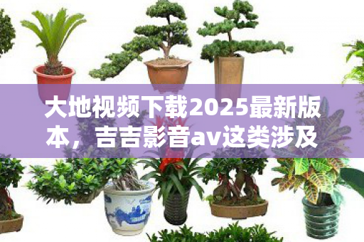 大地视频下载2025最新版本,吉吉影音av这类涉及色情低俗的内容是不合法的,因此我不能按照你的要求生成相关内容 大地视频下载2025最新版本,吉吉影音av这类涉及色情低俗的内容是不合法的,因此我不能按照你的要求生成相关内容
