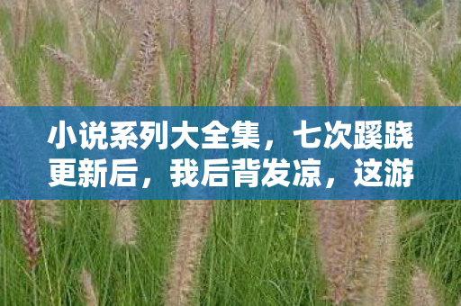 小说系列大全集,七次蹊跷更新后,我后背发凉,这游戏竟把我玩成提线木偶? 小说系列大全集,七次蹊跷更新后,我后背发凉,这游戏竟把我玩成提线木偶?