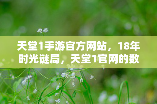 天堂1手游官方网站，18年时光谜局，天堂1官网的数字墓碑，为何让百万玩家泪目？