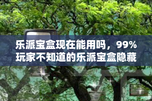 乐派宝盒现在能用吗，99%玩家不知道的乐派宝盒隐藏技巧！用错毁存档的痛谁懂？