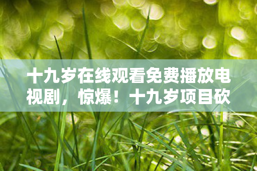 十九岁在线观看免费播放电视剧,惊爆!十九岁项目砍掉玩法致损失800万,背后隐情让人吓一跳! 十九岁在线观看免费播放电视剧,惊爆!十九岁项目砍掉玩法致损失800万,背后隐情让人吓一跳!