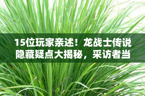15位玩家亲述！龙战士传说隐藏疑点大揭秘，采访者当场绷不住！