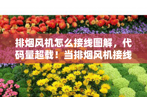 排烟风机怎么接线图解,代码量超载!当排烟风机接线成为暗线解谜,头皮发麻的赛博生存法则 排烟风机怎么接线图解,代码量超载!当排烟风机接线成为暗线解谜,头皮发麻的赛博生存法则