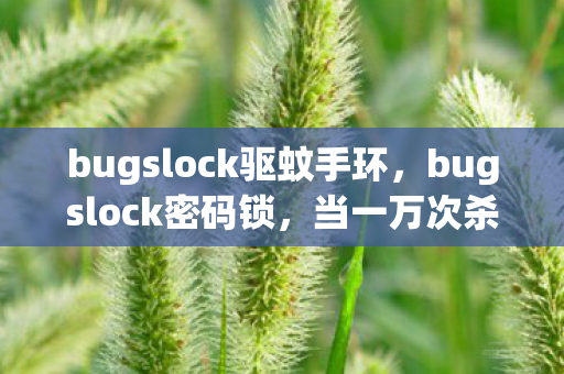 bugslock驱蚊手环,bugslock密码锁,当一万次杀戮成为悬案,我亲手把自己锁进永恒轮回 bugslock驱蚊手环,bugslock密码锁,当一万次杀戮成为悬案,我亲手把自己锁进永恒轮回