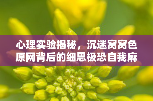 心理实验揭秘,沉迷窝窝色原网背后的细思极恐自我麻醉 心理实验揭秘,沉迷窝窝色原网背后的细思极恐自我麻醉