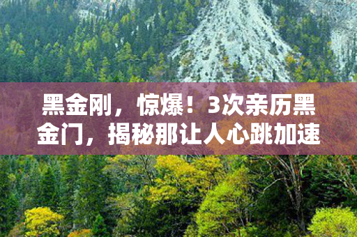 黑金刚,惊爆!3次亲历黑金门,揭秘那让人心跳加速的神秘体验! 黑金刚,惊爆!3次亲历黑金门,揭秘那让人心跳加速的神秘体验!