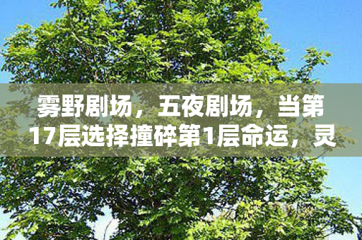 雾野剧场,五夜剧场,当第17层选择撞碎第1层命运,灵魂在自由悖论中震颤 雾野剧场,五夜剧场,当第17层选择撞碎第1层命运,灵魂在自由悖论中震颤