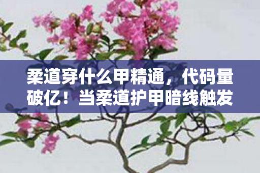 柔道穿什么甲精通，代码量破亿！当柔道护甲暗线触发，你的头皮发麻只是数字文明的序章
