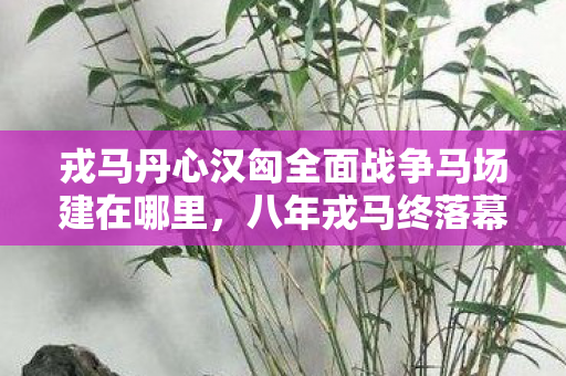 戎马丹心汉匈全面战争马场建在哪里,八年戎马终落幕,汉匈烽烟成谜影,泪目见证这终章! 戎马丹心汉匈全面战争马场建在哪里,八年戎马终落幕,汉匈烽烟成谜影,泪目见证这终章!