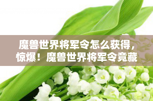魔兽世界将军令怎么获得，惊爆！魔兽世界将军令竟藏3000万隐情，结果让人吓一跳！