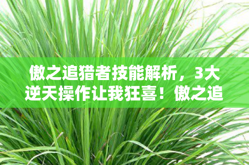 傲之追猎者技能解析,3大逆天操作让我狂喜!傲之追猎者实战体验太顶了! 傲之追猎者技能解析,3大逆天操作让我狂喜!傲之追猎者实战体验太顶了!