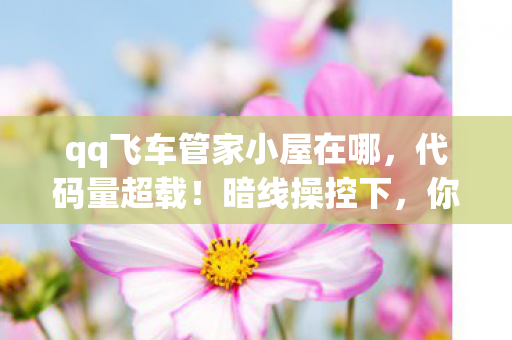 qq飞车管家小屋在哪,代码量超载!暗线操控下,你的飞车竟在头皮发麻地进化? qq飞车管家小屋在哪,代码量超载!暗线操控下,你的飞车竟在头皮发麻地进化?