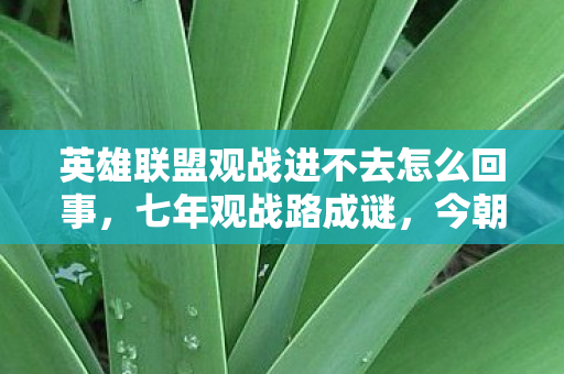 英雄联盟观战进不去怎么回事,七年观战路成谜,今朝黑屏泪目时 英雄联盟观战进不去怎么回事,七年观战路成谜,今朝黑屏泪目时