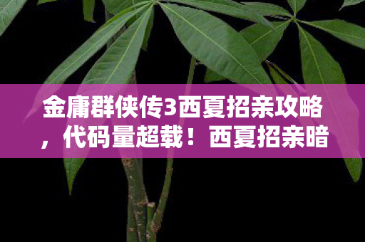 金庸群侠传3西夏招亲攻略,代码量超载!西夏招亲暗线触发神经脉冲警报,玩家集体头皮发麻 金庸群侠传3西夏招亲攻略,代码量超载!西夏招亲暗线触发神经脉冲警报,玩家集体头皮发麻